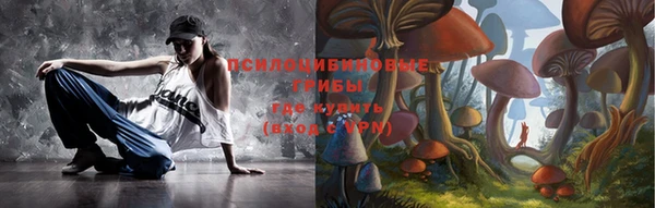 бошки Алексеевка
