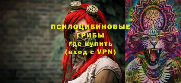 бошки Алексеевка