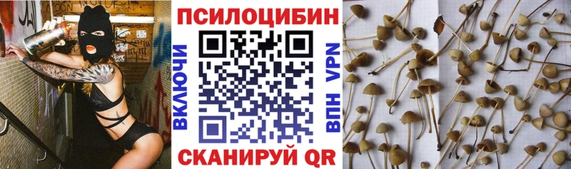 цены наркотик  Одинцово  Псилоцибиновые грибы Psilocybe 