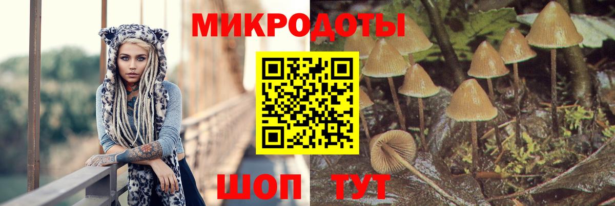 Псилоцибиновые грибы Magic Shrooms Одинцово